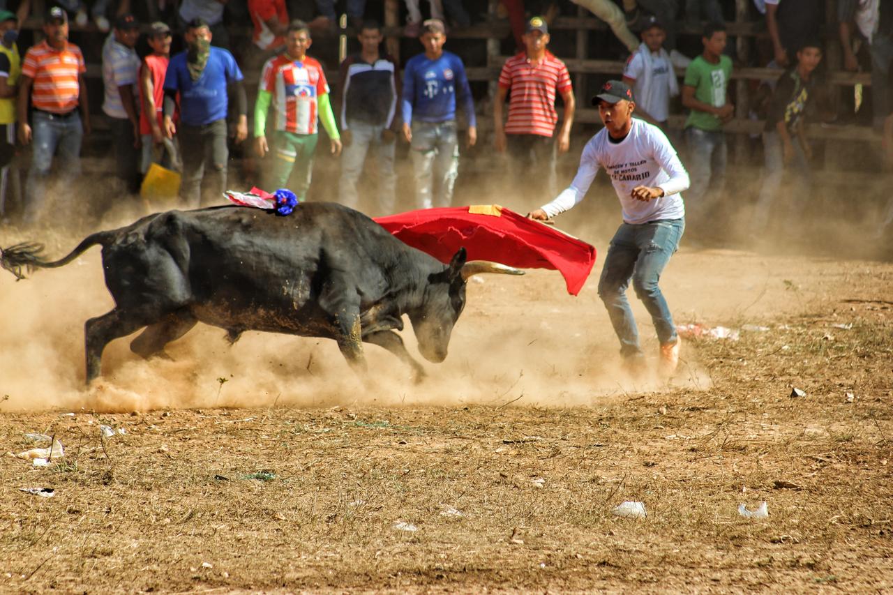 FIESTAS PATRONALES